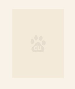 世子凶猛:谁敢和我抢女人?